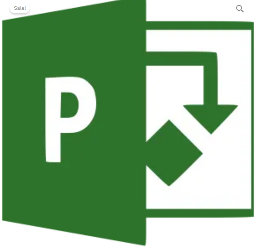 MS Project Professional 2021